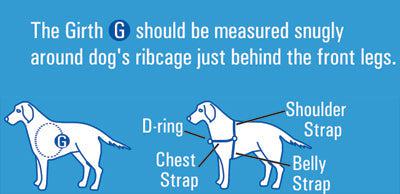 Beau Pets Gentle Leader Harness – Blue