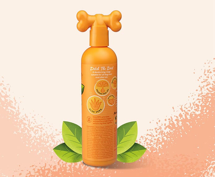 Pet Head Ditch the Dirt - Deodorising Shampoo - 300ml