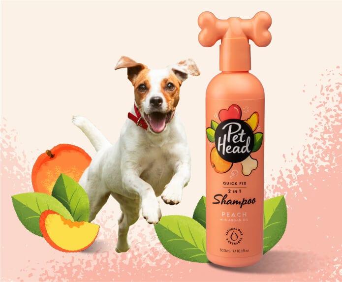 Pet Head Quick Fix - 2 in 1 Shampoo & Conditioner - 300ml