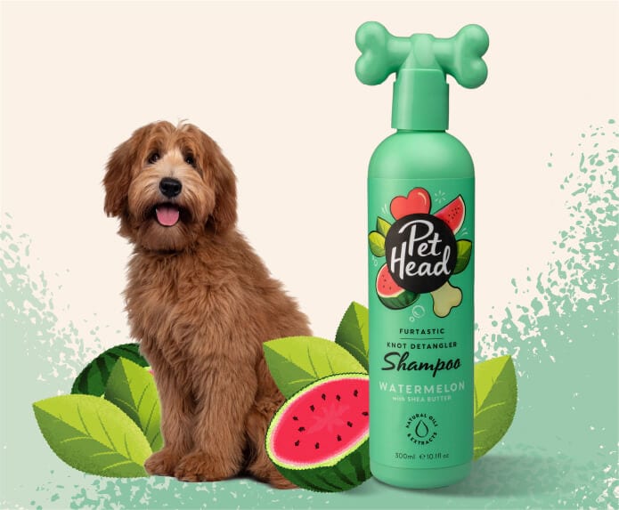 Pet Head Furtastic - Knot Detangler Shampoo - 300ml