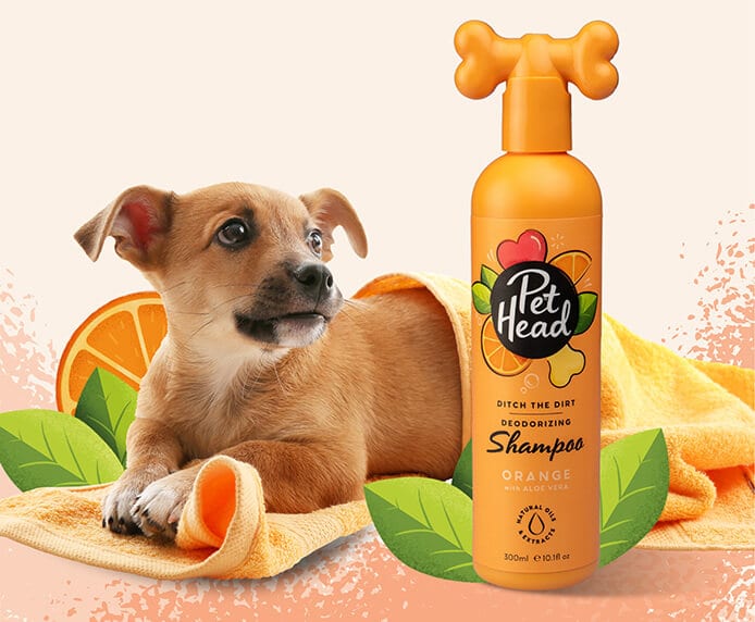 Pet Head Ditch the Dirt - Deodorising Shampoo - 300ml