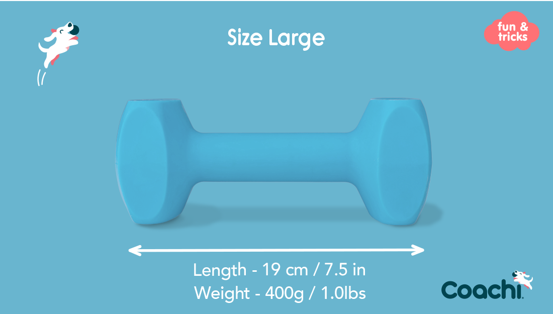 Company of Animals Coachi – Training Dumbbell