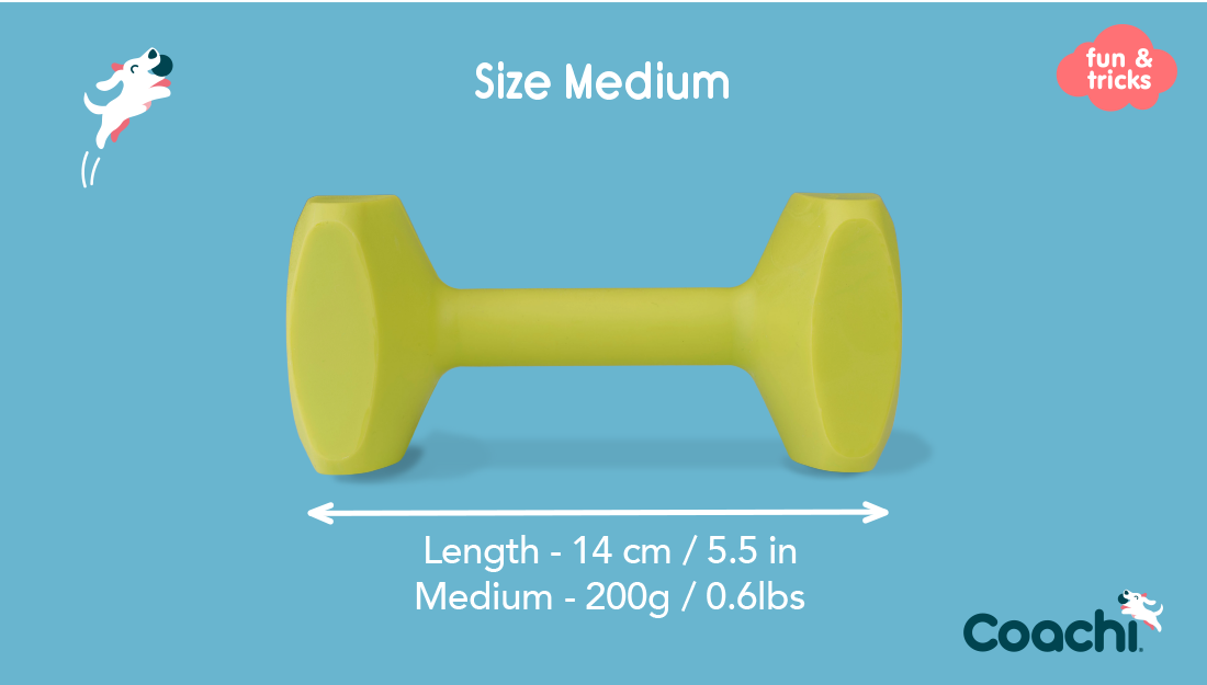Company of Animals Coachi – Training Dumbbell