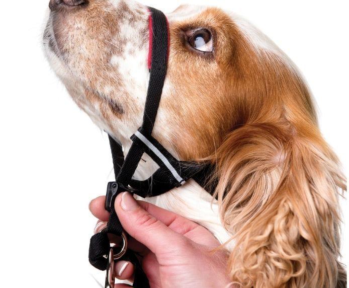 Company of Animals Halti Optifit Headcollar - Black