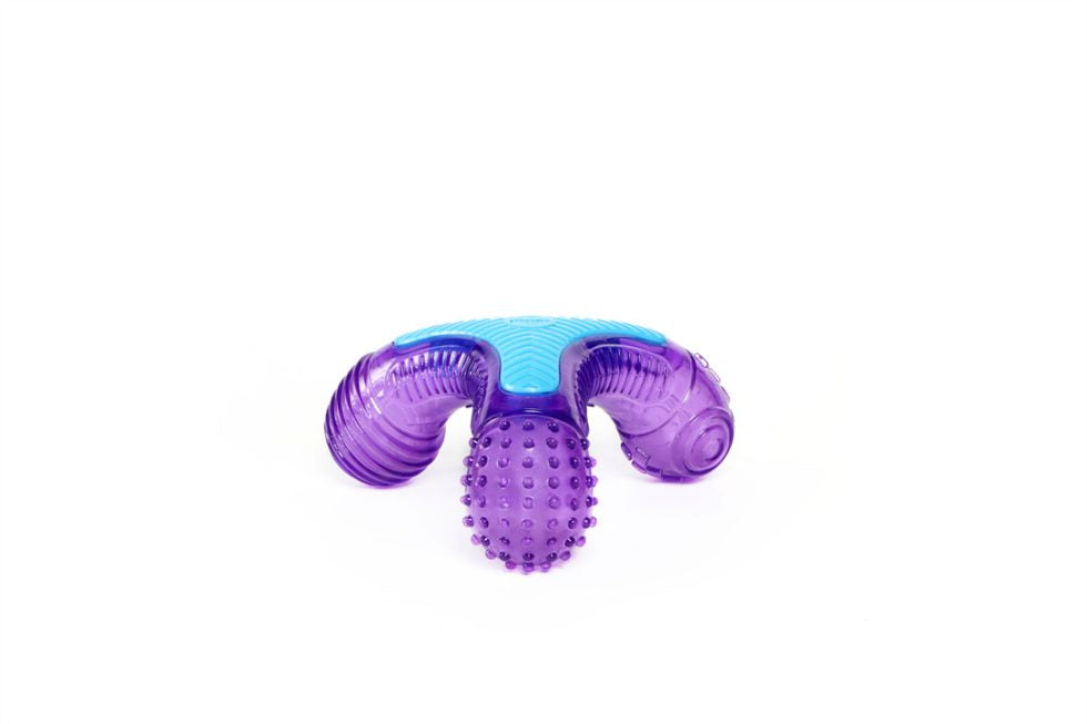 GiGwi Multi-Sound Bone