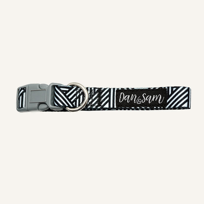 Dan & Sam Adjustable Polyester Dog Webbing Collar – Abstract