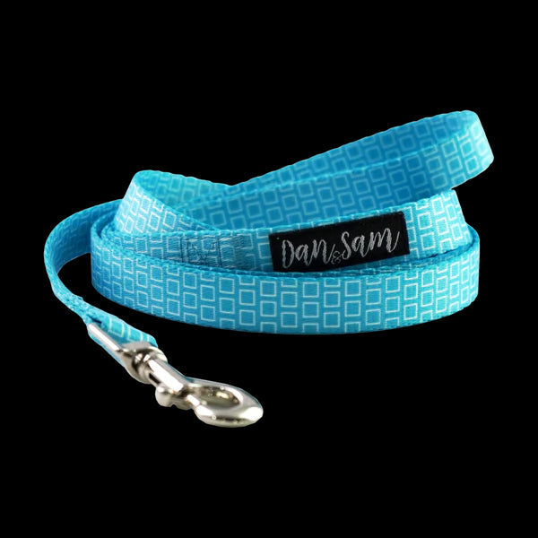 Dan & Sam Polyester Webbing Lead – Grooving