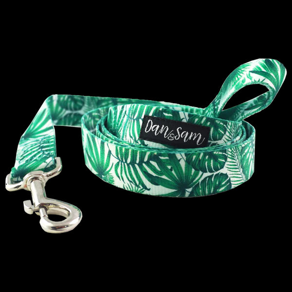 Dan & Sam Polyester Webbing Lead – Lahana