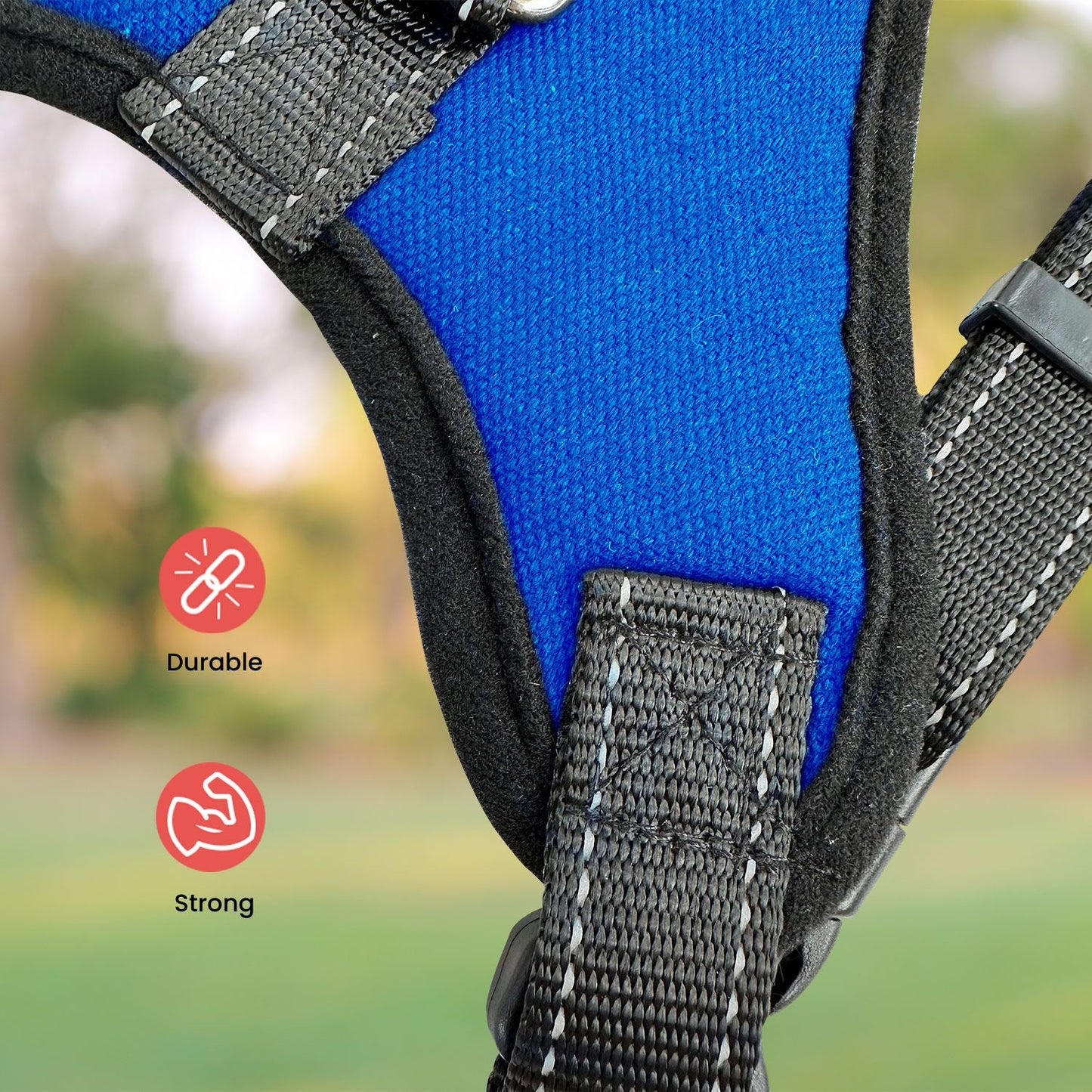FLOOFI Dog Harness - Blue - XXL