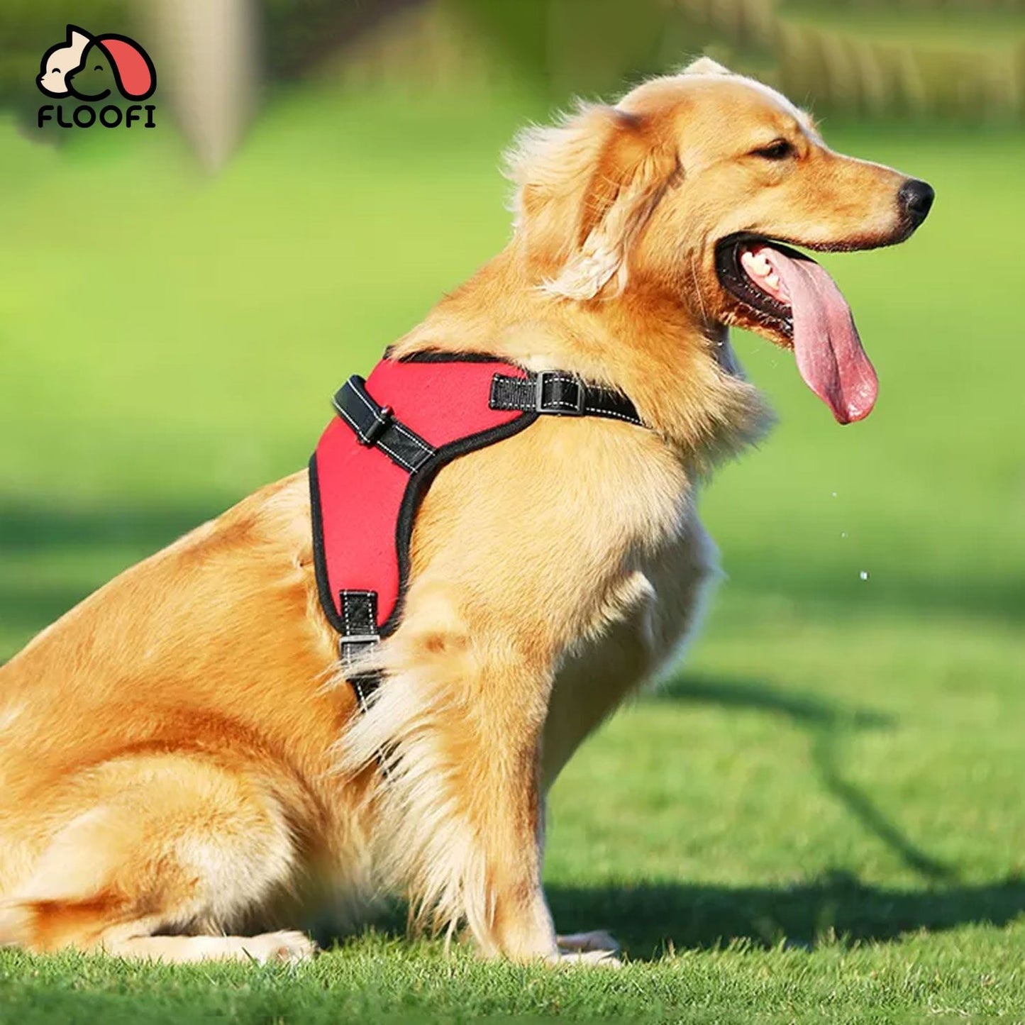 FLOOFI Dog Harness - Red - XXL