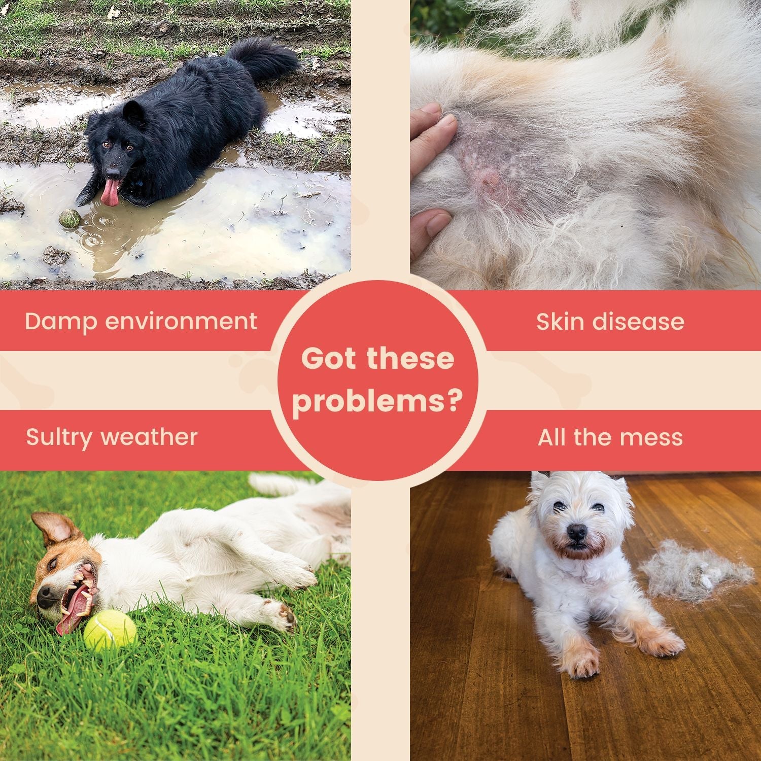 Floofi Elevated Camping Pet Bed - Army - M