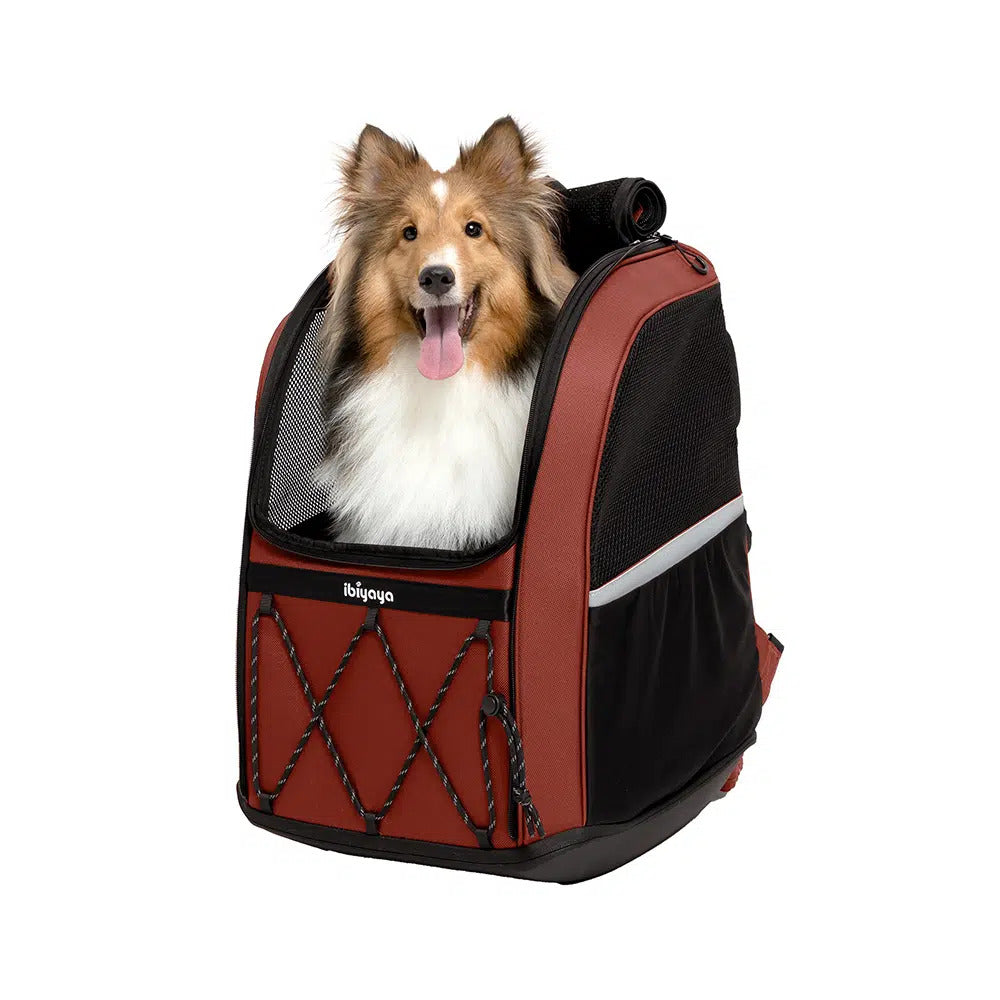 Ibiyaya Champion 3-in-1 Carrier, Backpack & Car Seat (up to 12Kg) - Maroon