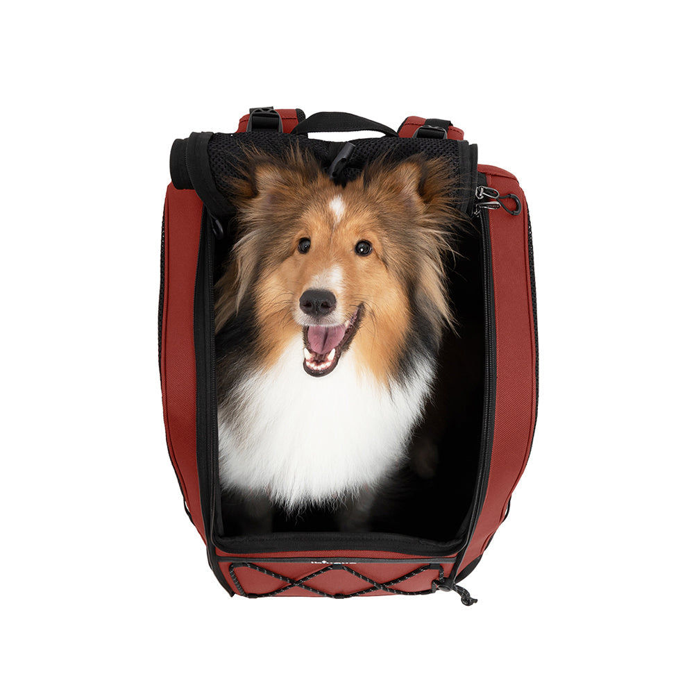 Ibiyaya Champion 3-in-1 Carrier, Backpack & Car Seat (up to 12Kg) - Maroon