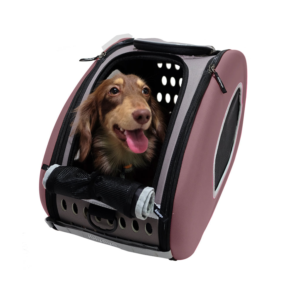 Ibiyaya Eva Pet 4 in 1 Wheeled Carrier (Up to 8 Kg) - Chocolate