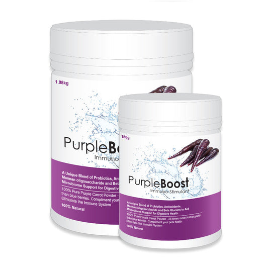 LifeWise Purple Boost Immuno-Stimulant