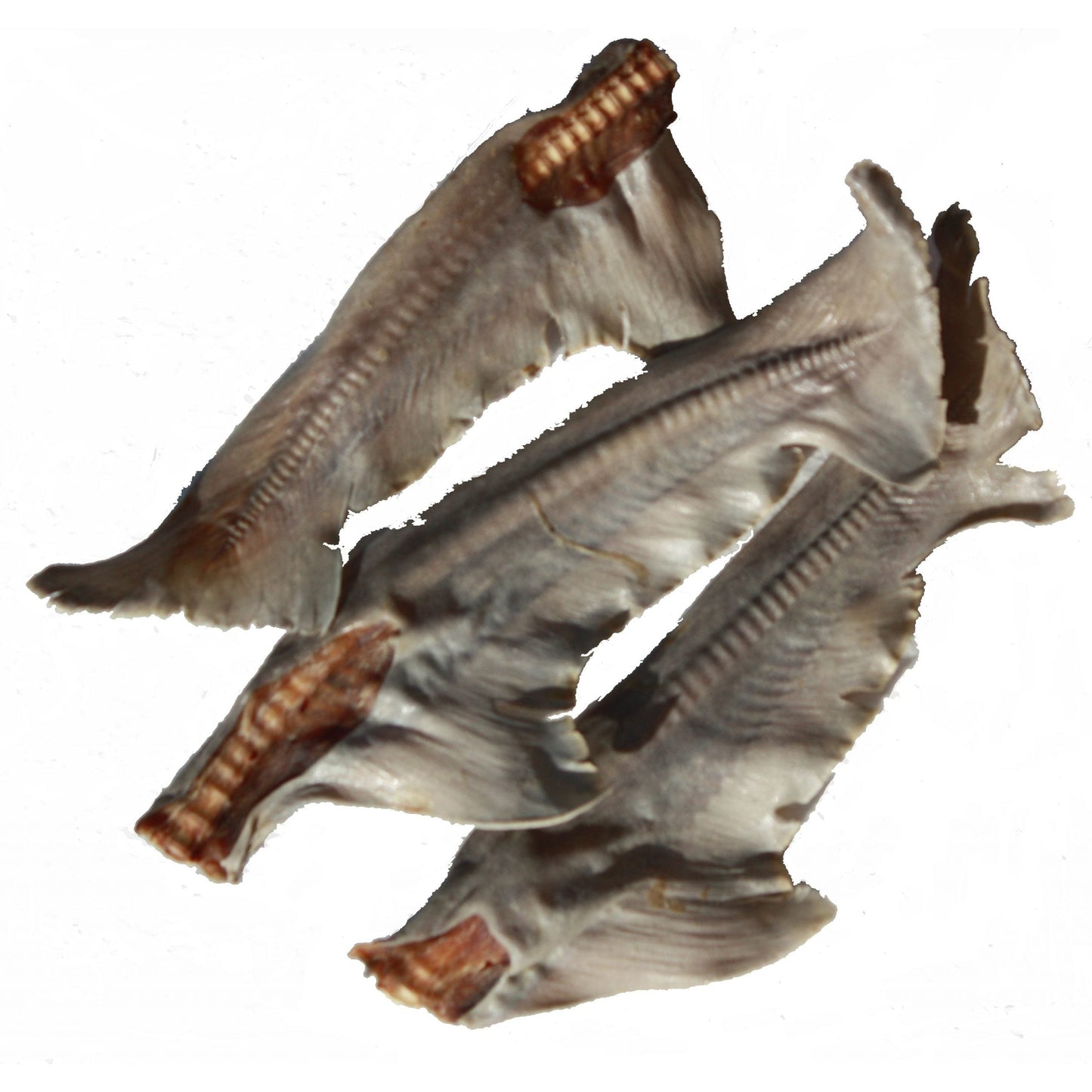 Nature’s Menu Australian Shark Tails