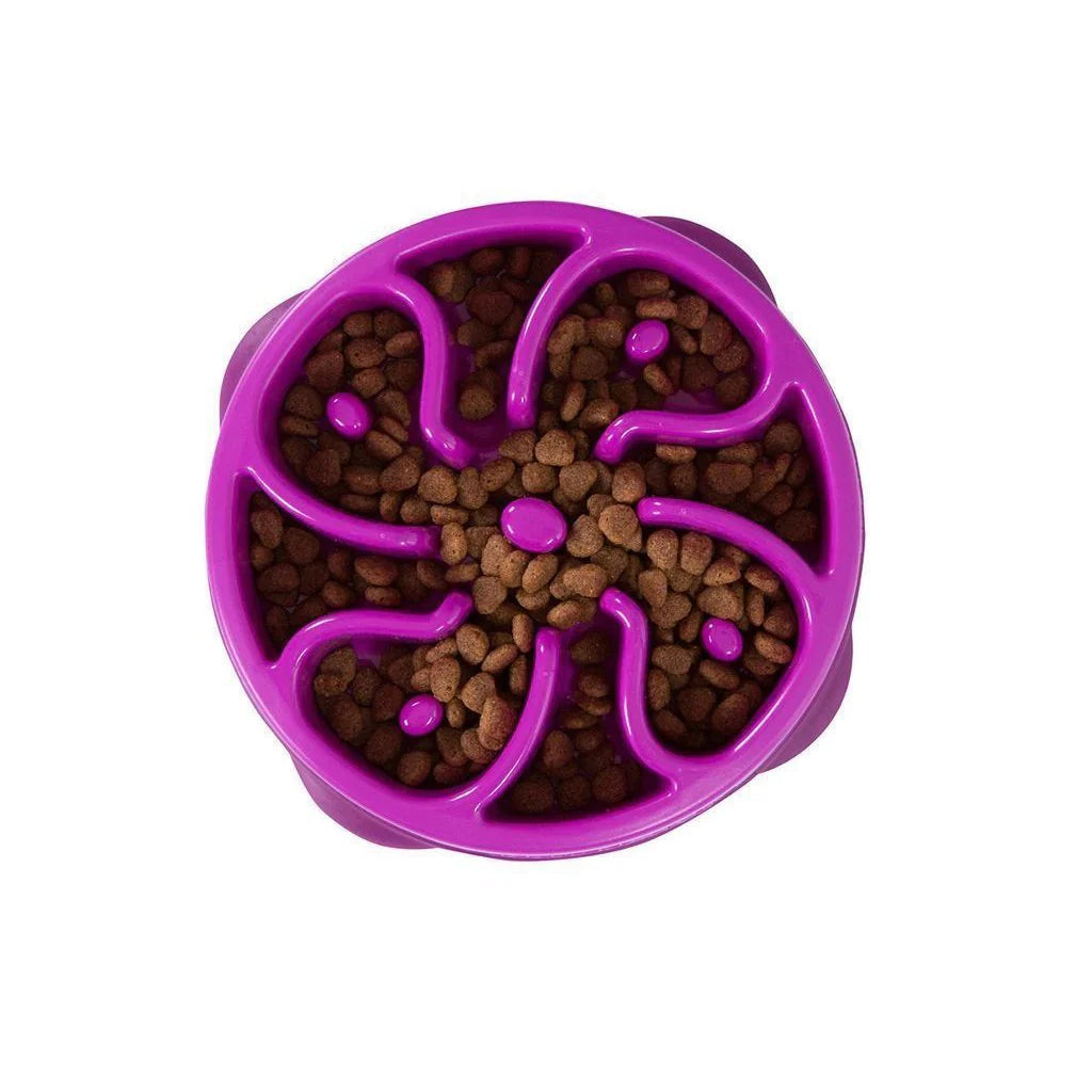 Outward Hound Fun Feeder Slo Bowl – Regular