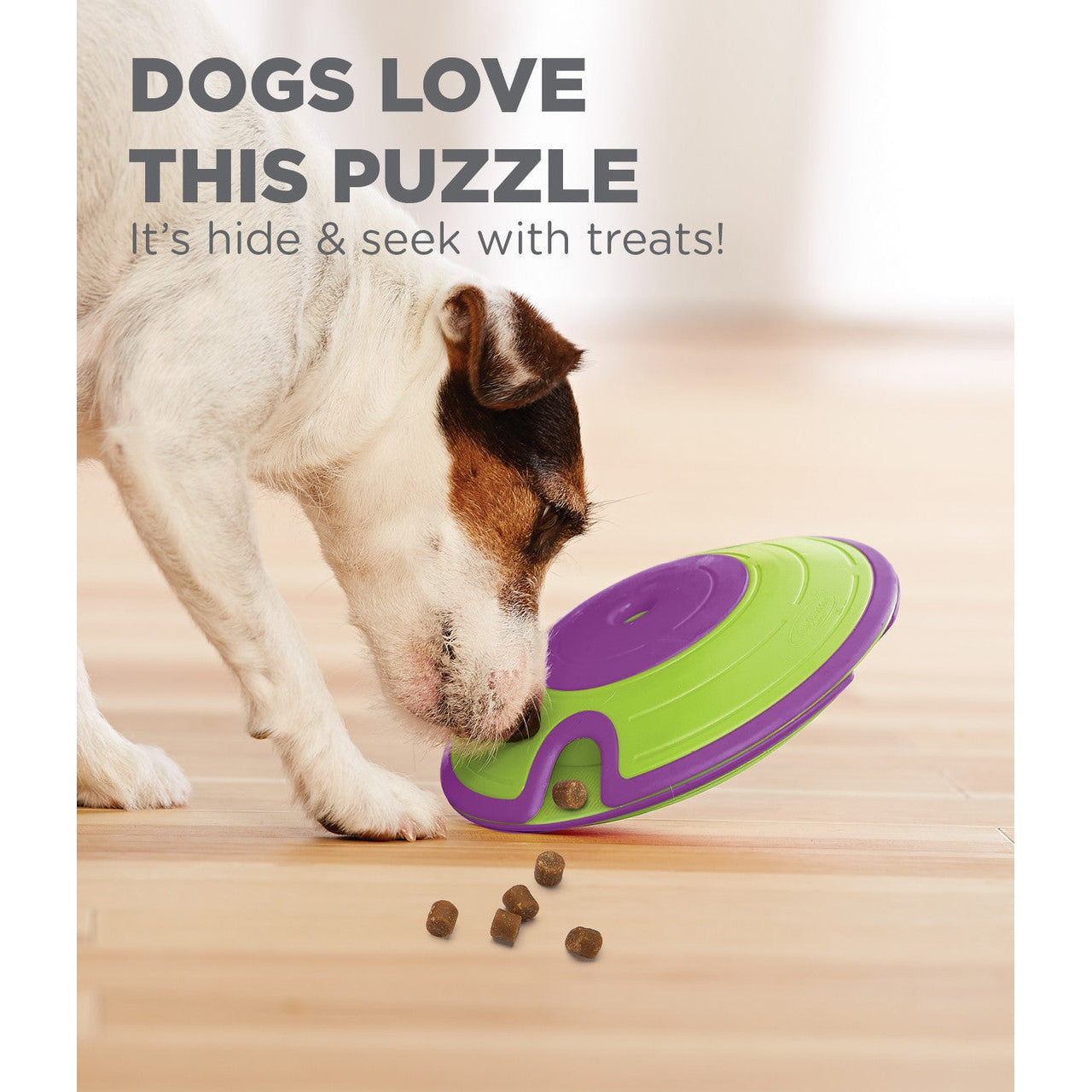Outward Hound Nina Ottosson Dog Treat Maze - Level 2