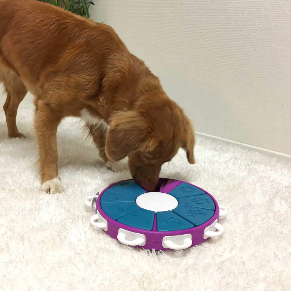 Outward Hound Nina Ottosson Dog Twister Puzzle - Level 3
