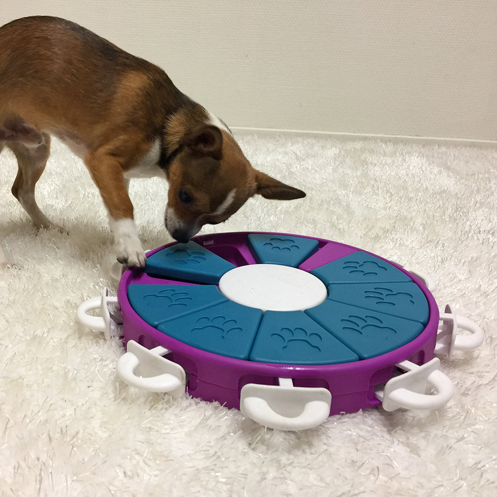 Outward Hound Nina Ottosson Dog Twister Puzzle - Level 3