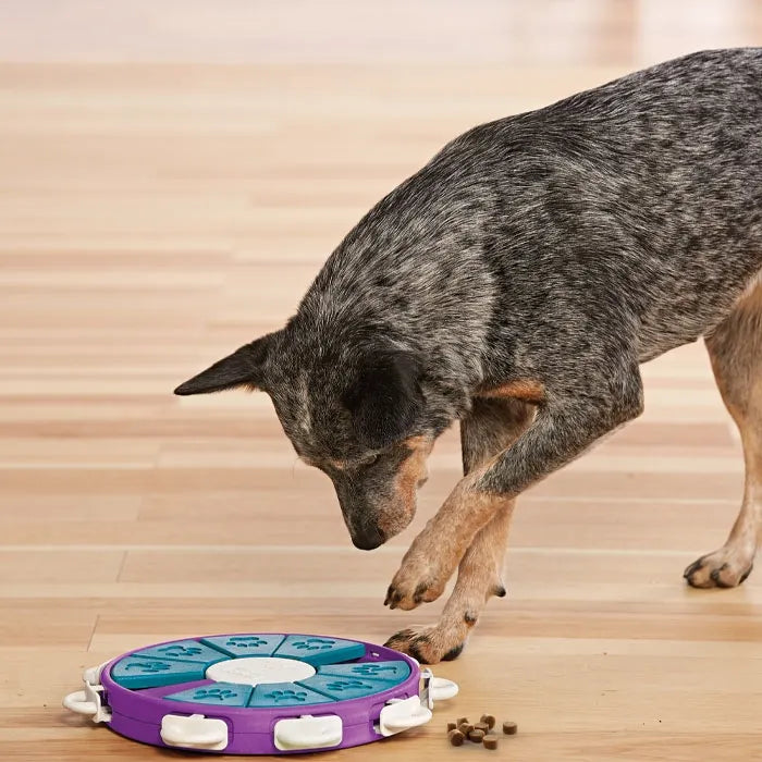 Outward Hound Nina Ottosson Dog Twister Puzzle - Level 3