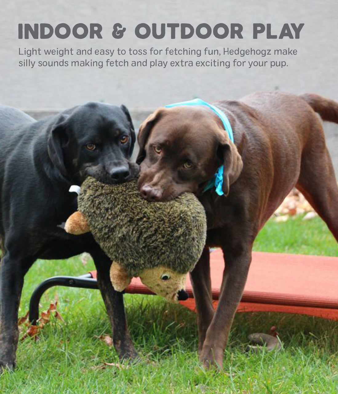 Outward Hound Plush Hedgehogz