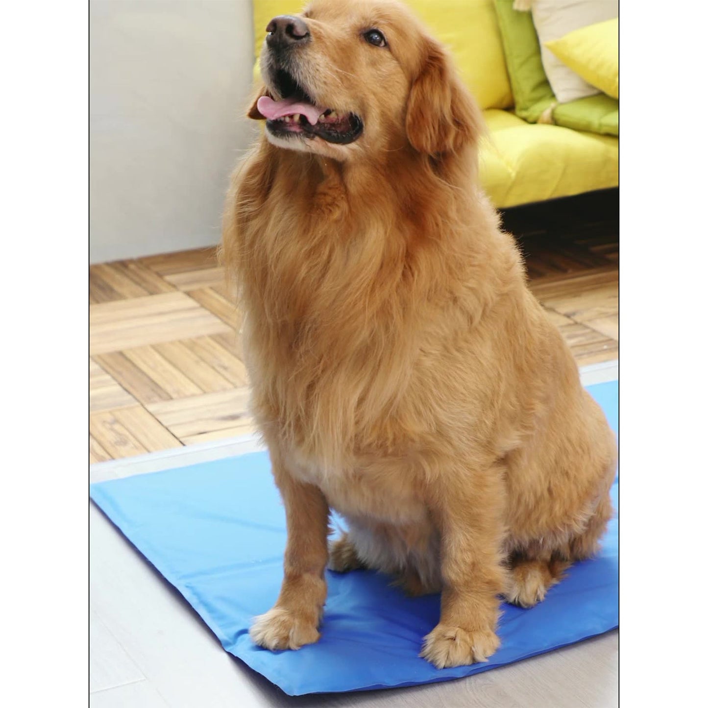 Pawfriends Cooling Multi Functional Mat 2XL