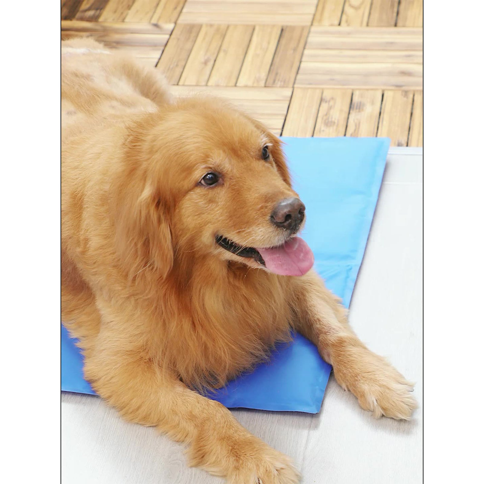 Pawfriends Cooling Multi Functional Mat L