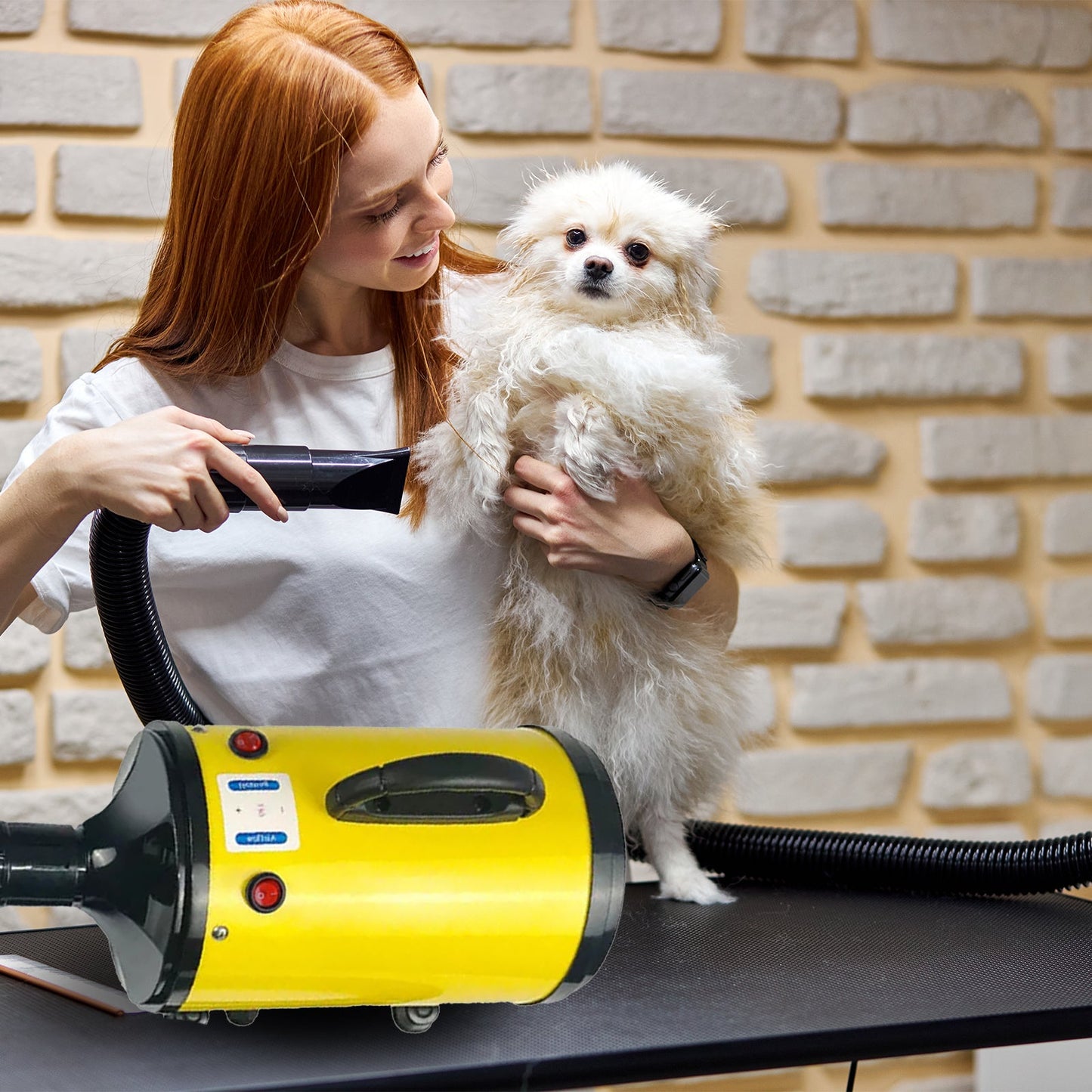 Pawfriends Pet Hair Dryer 2000W Yellow