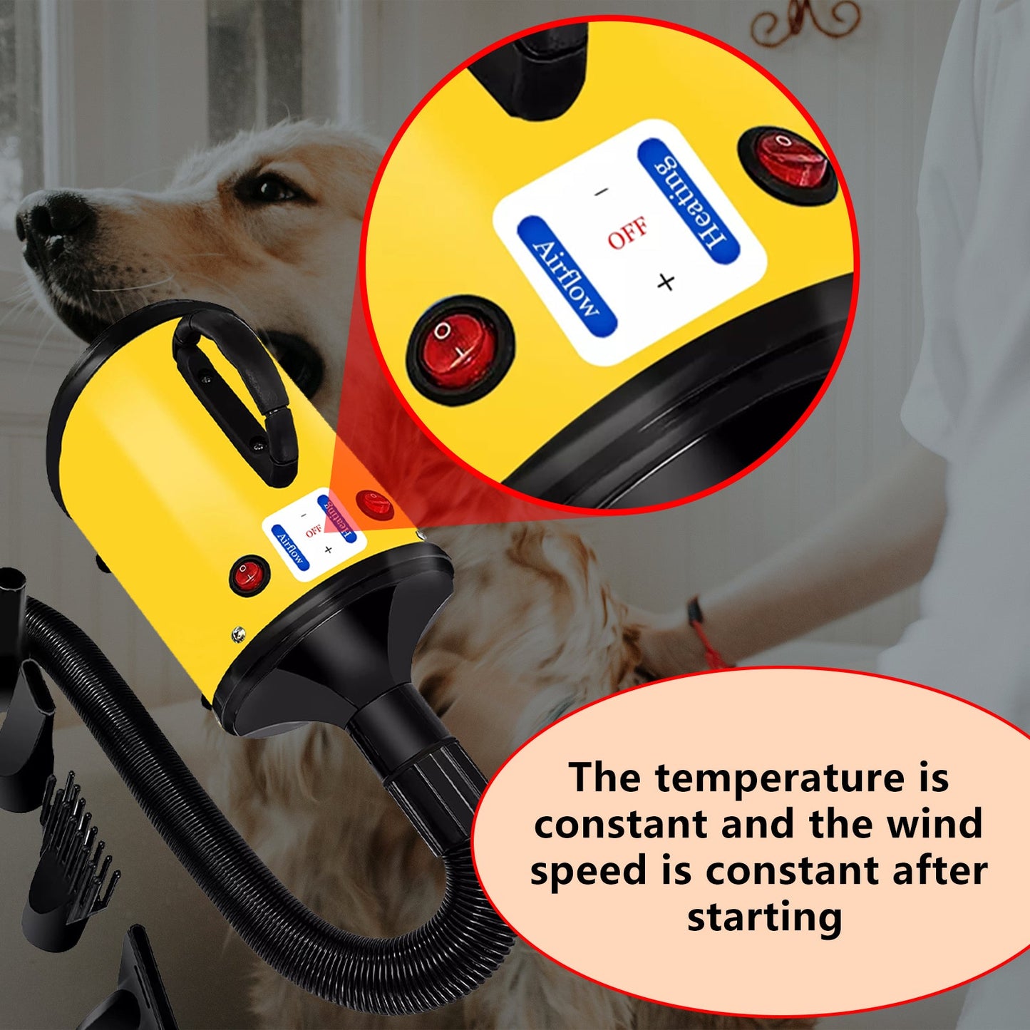 Pawfriends Pet Hair Dryer 2000W Yellow