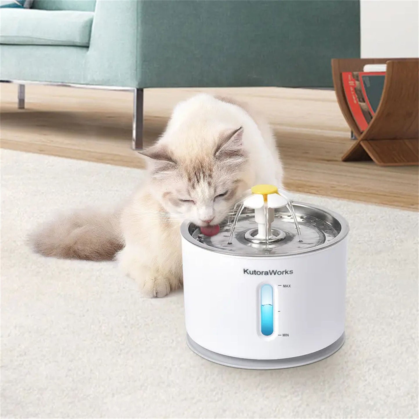 Pawfriends Pet Water Dispenser Blue