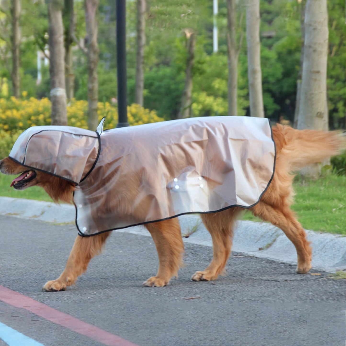 Pawfriends TPU Transparent Pet Cape Raincoat 10XL
