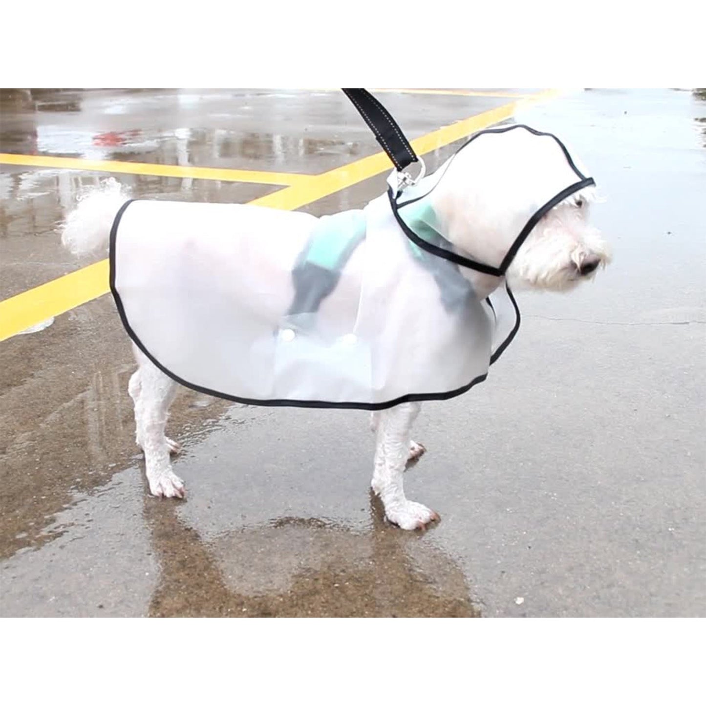 Pawfriends TPU Transparent Pet Cape Raincoat 2XL