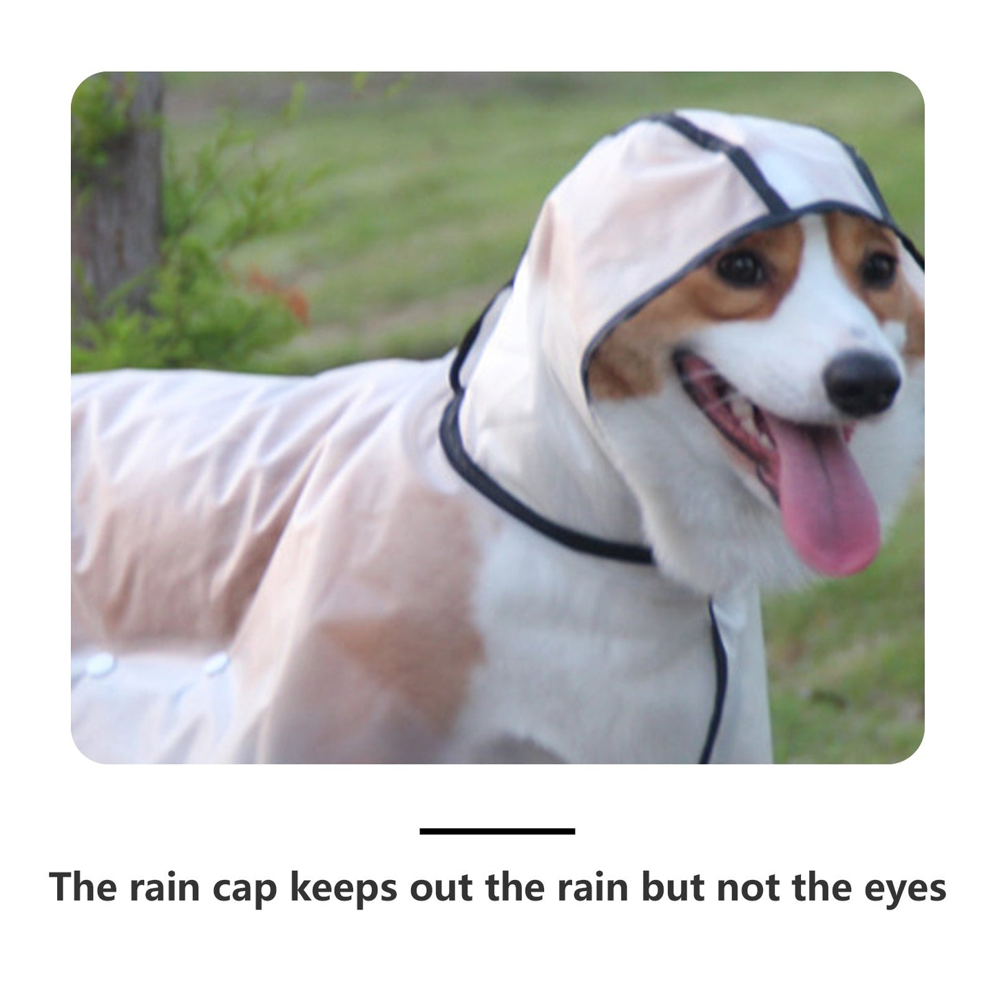 Pawfriends TPU Transparent Pet Cape Raincoat 2XL