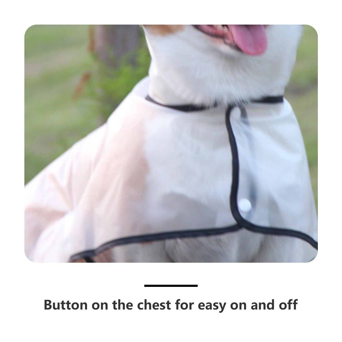 Pawfriends TPU Transparent Pet Cape Raincoat 2XL
