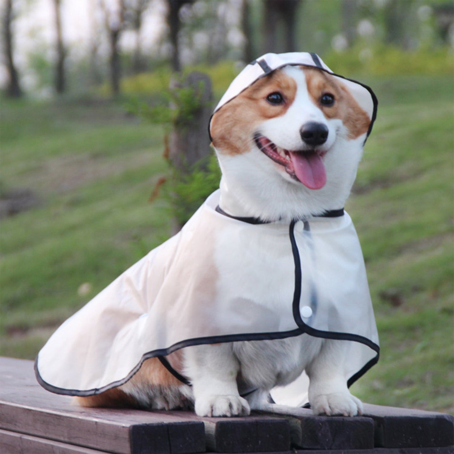 Pawfriends TPU Transparent Pet Cape Raincoat 2XL