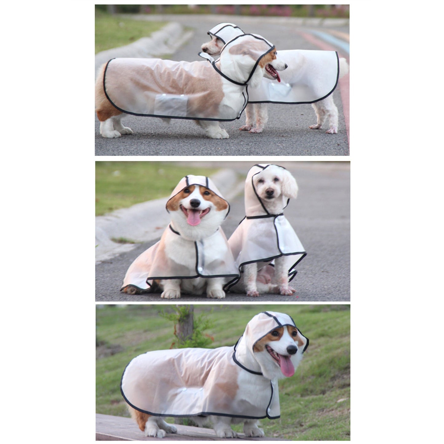 Pawfriends TPU Transparent Pet Cape Raincoat 2XL