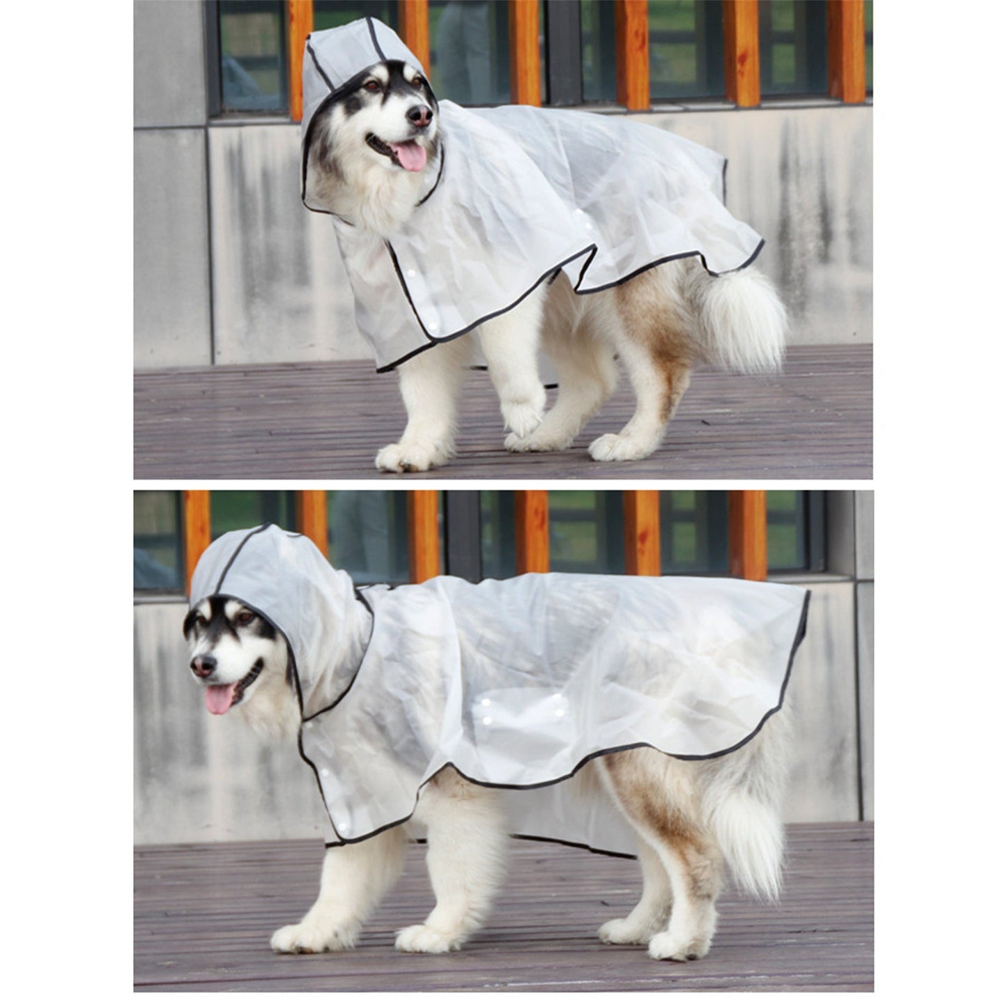 Pawfriends TPU Transparent Pet Cape Raincoat 2XL