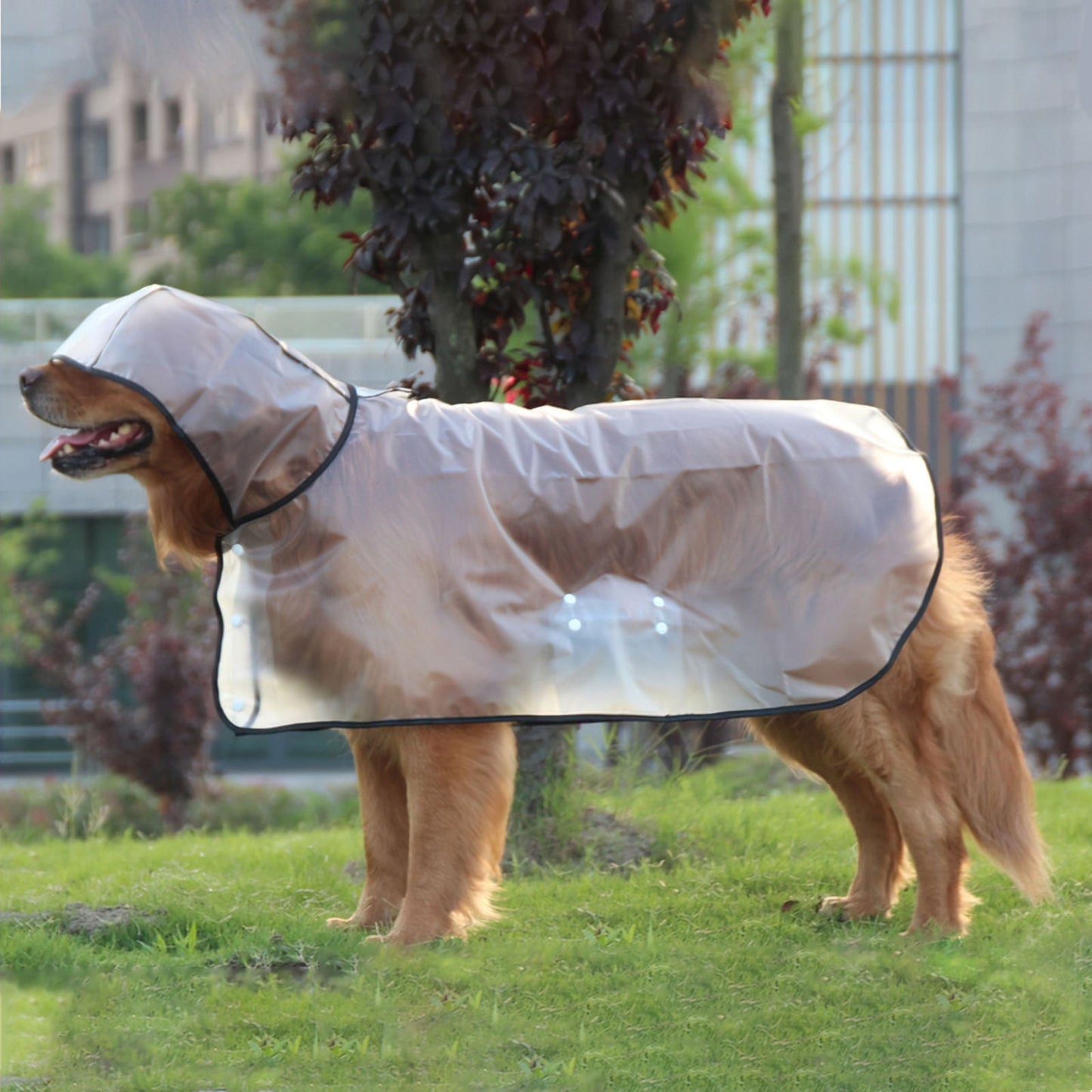 Pawfriends TPU Transparent Pet Cape Raincoat 9XL