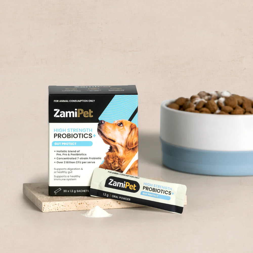 ZamiPet High Strength Probiotics+ Gut Protect Oral Powder - 30 x 1.2g