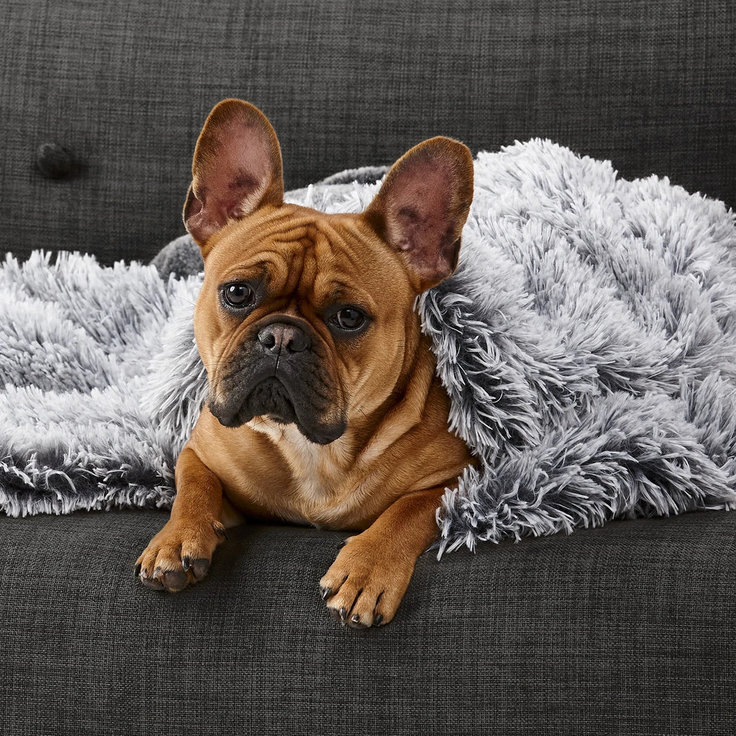 Snooza Calming Cuddler Blanket – Chinchilla & Silver Fox