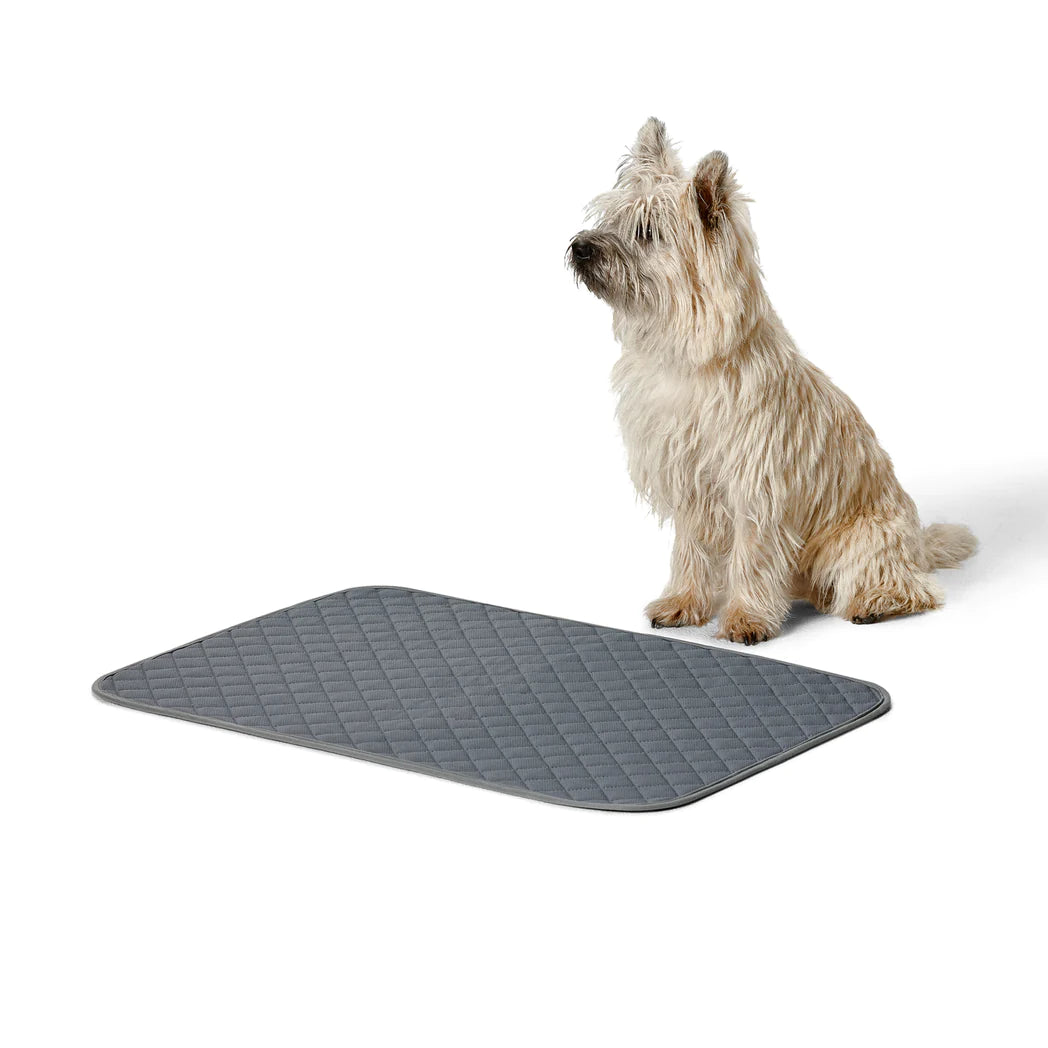 Snooza Washable Pee Pad 2pc