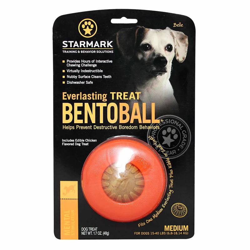 Starmark Everlasting Bento Ball