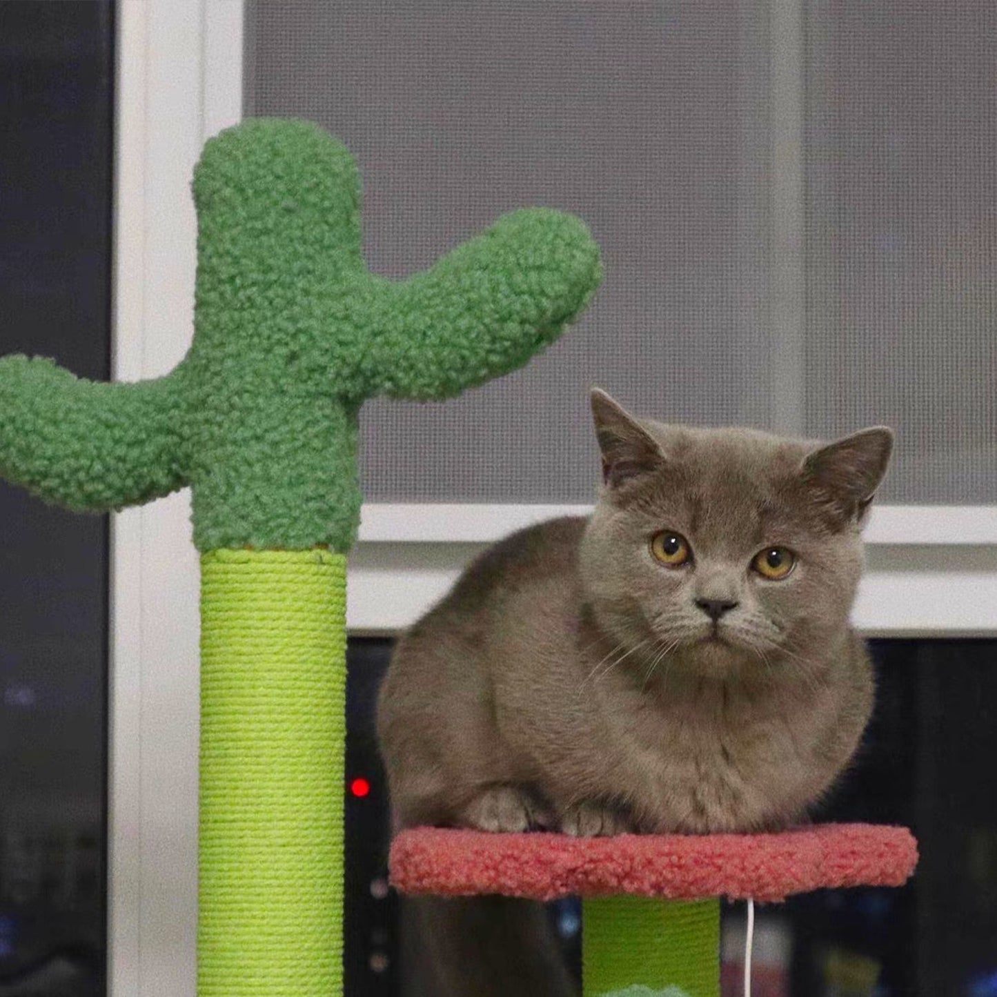 Floofi Cat Tree Flower with 2 Cactus 50cm