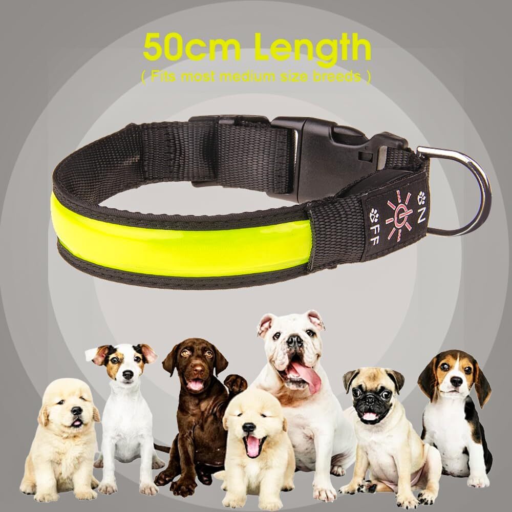 LED Pet Collar Nylon USB Rechargeable