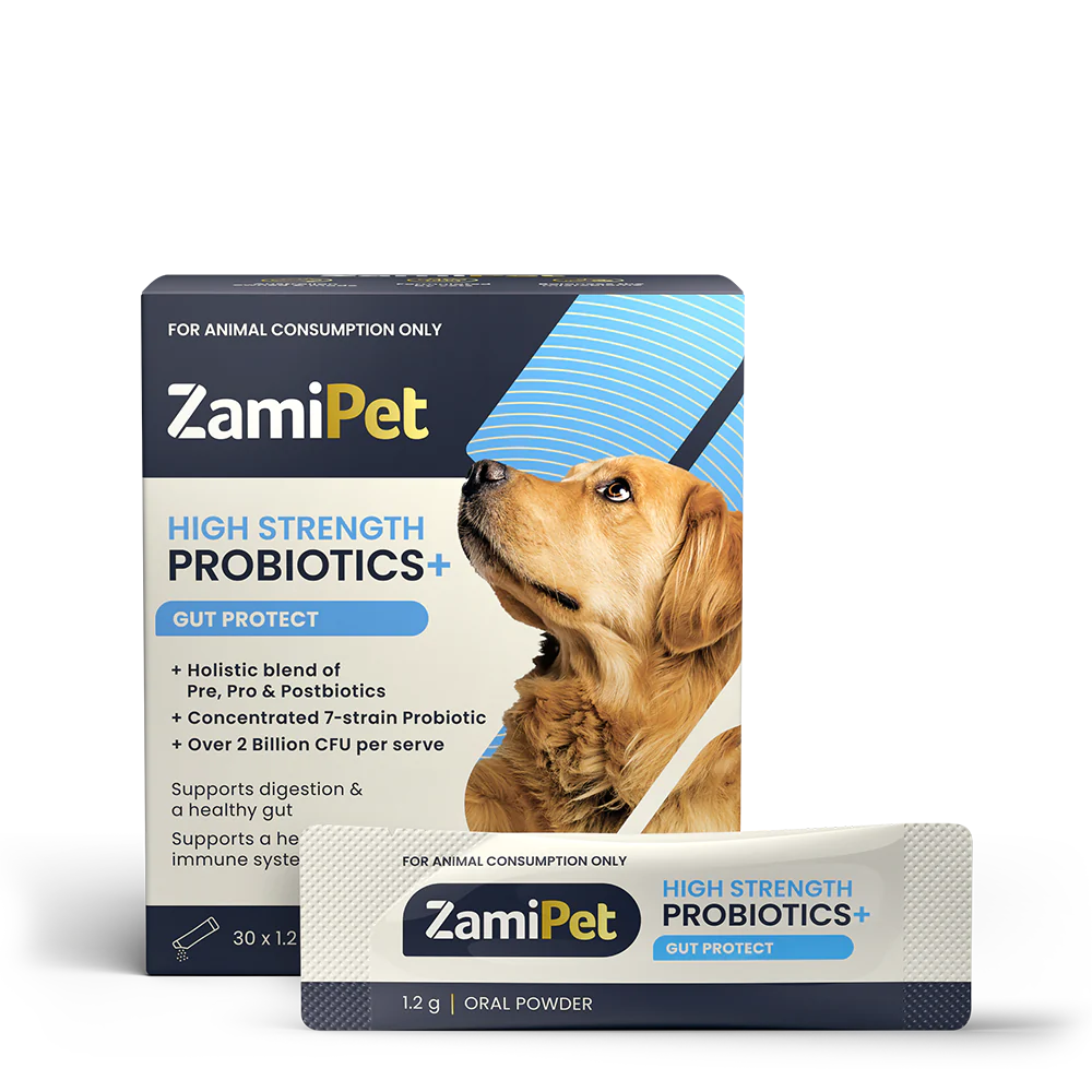 ZamiPet High Strength Probiotics+ Gut Protect Oral Powder - 30 x 1.2g
