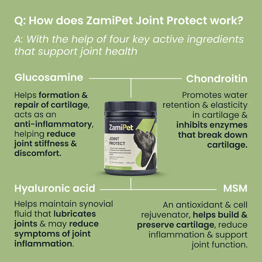 ZamiPet Joint Protect
