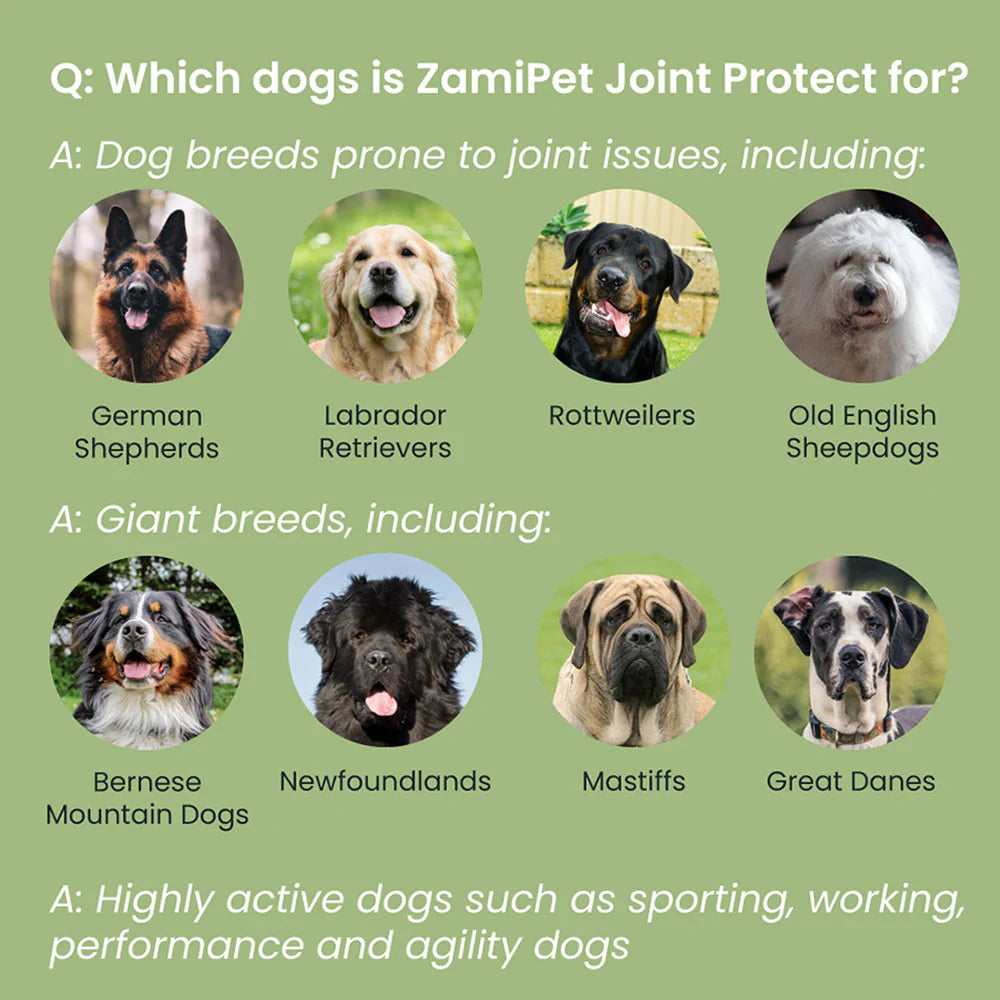 ZamiPet Joint Protect