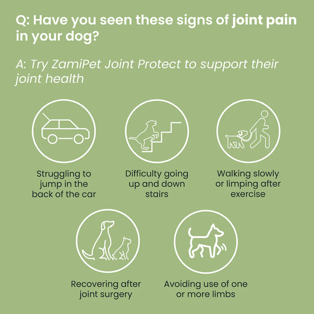 ZamiPet Joint Protect