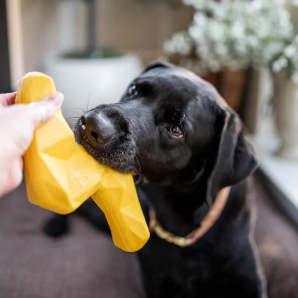 Zippy Paws Zippy Tuff+ Lighting Bolt Fetch & Tug Dog Toy